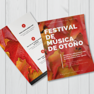 Tamaño carta - Impresa por ambas caras