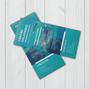 Flyers 14x21 cm - Impresos por una cara (copia)