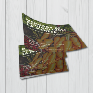 Flyers 14x21 cm - Impresos por una cara